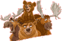 BROTHER BEAR 1